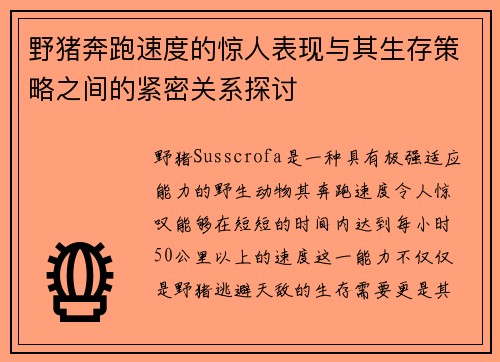野猪奔跑速度的惊人表现与其生存策略之间的紧密关系探讨